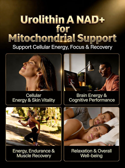 Advanced 6-in-1 Urolithin A Supplement with Liposomal NAD+, Trans-Resveratrol, Ubiquinol (CoQ10), TMG, PQQ for Mitochondrial Function & Cellular Energy Support, 120 Softgels