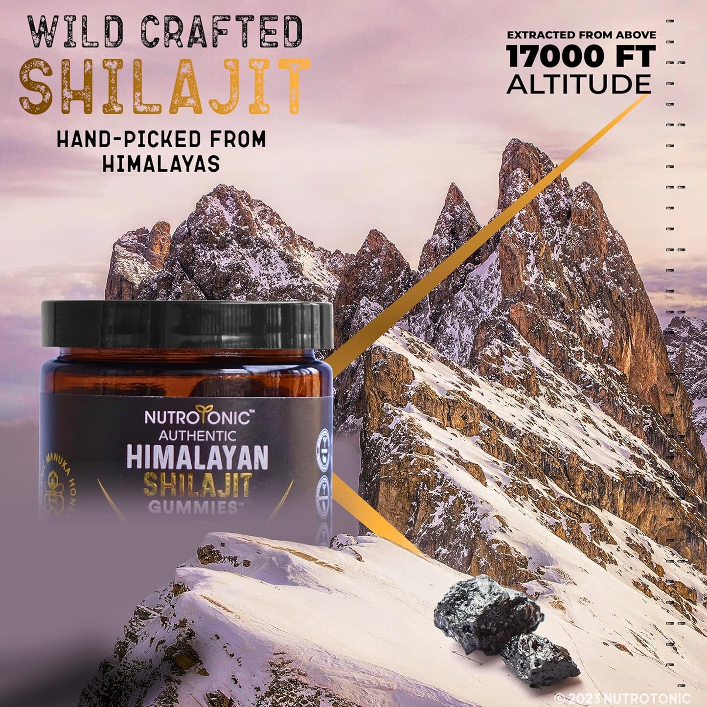 Raw Himalayan Shilajit Manuka Gummies