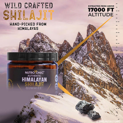 Raw Himalayan Shilajit Manuka Gummies