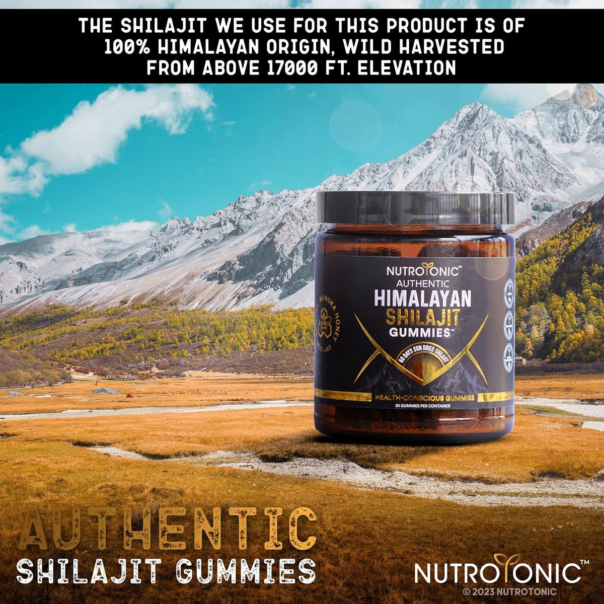 Raw Himalayan Shilajit Manuka Gummies
