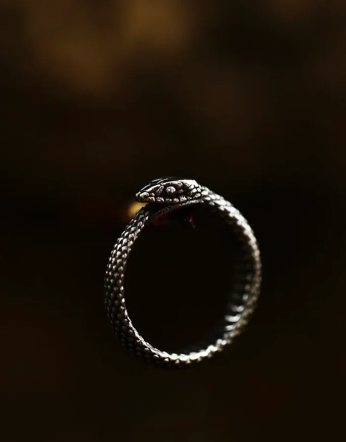 Techwear Serpent Ring