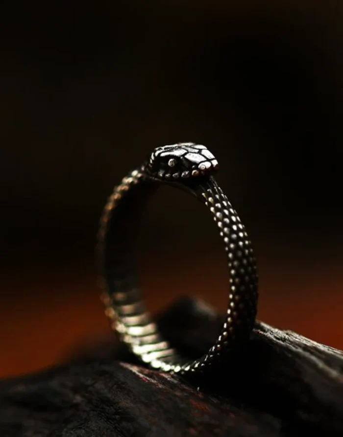 Techwear Serpent Ring