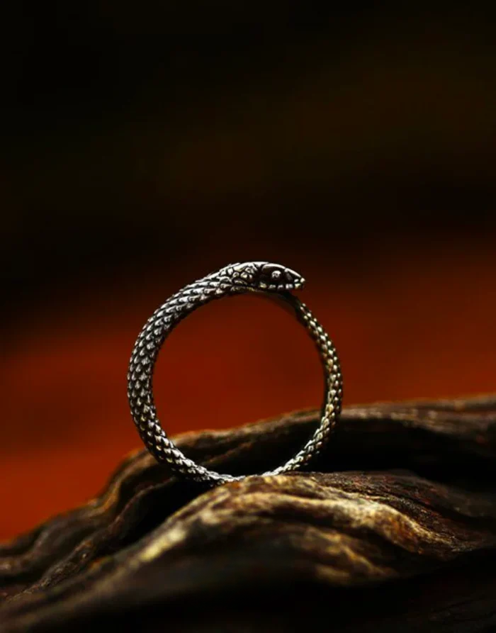 Techwear Serpent Ring