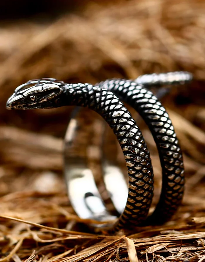Techwear Snake Silver Ring