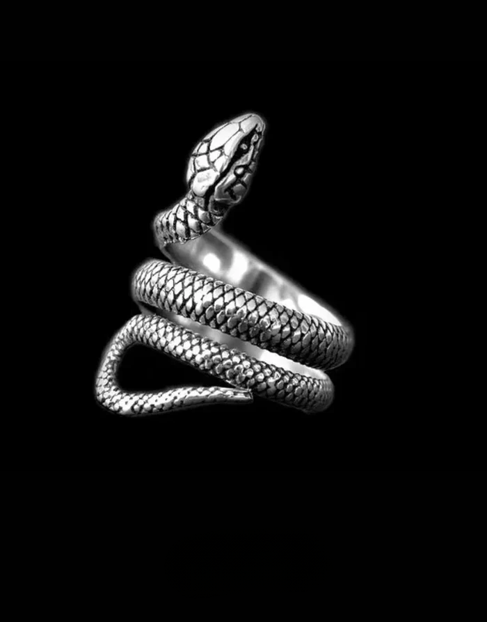 Techwear Snake Silver Ring